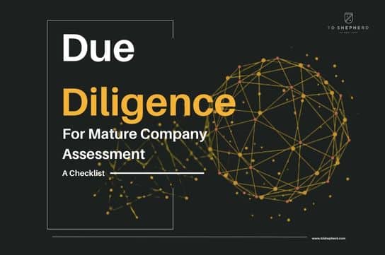Document cover with the text: Due Diligence for Mature Company Assessment