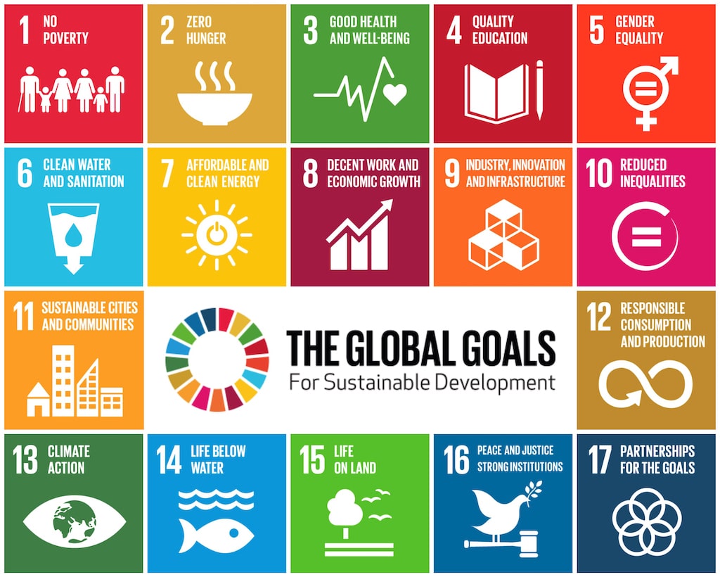 The image shows a visual representation of the global goals for sustainable development